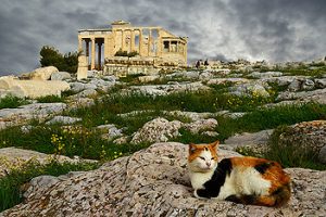 El Erecteion, el templo que permanece a la sombra del Partenón, es la mejor de las sorpresas de la Acrópolis, con el pórtico de las Cariátides como estrella